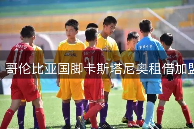 哥伦比亚国脚卡斯塔尼奥租借加盟米内罗竞技