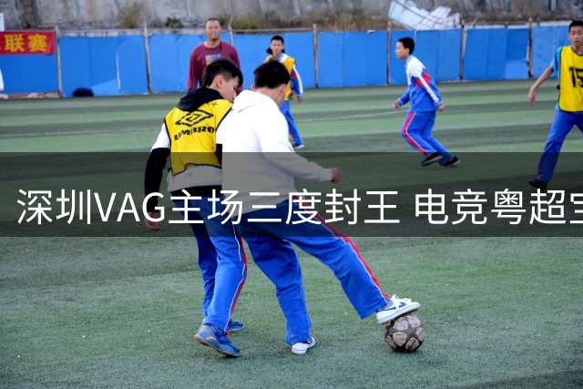 深圳VAG主场三度封王 电竞粤超宝安站圆满落幕