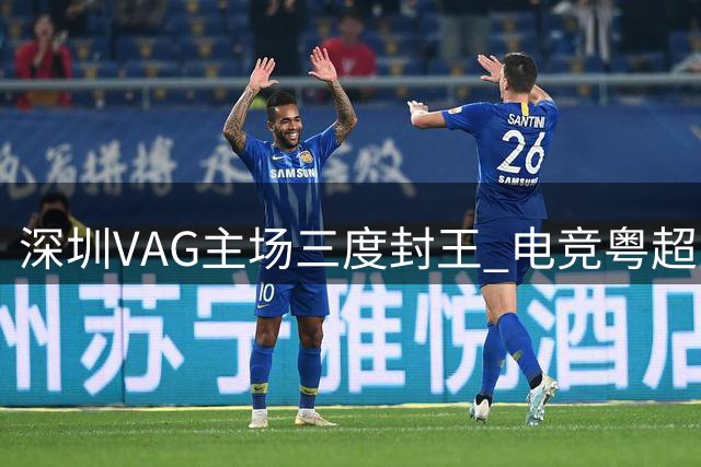 深圳VAG主场三度封王 电竞粤超宝安站圆满落幕